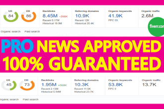 paid SEO guest blog with indexed web crawling backlink