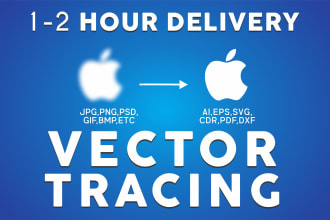 do vector tracing, redraw convert image to vector