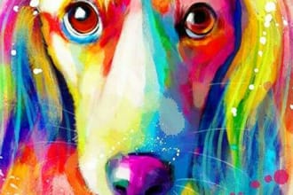 draw  illustration portrait for cat, dog or any pet