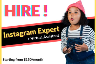 develop instagram organic growth strategy and content