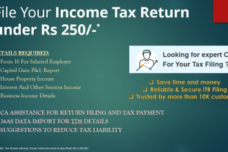 file income tax returns and suggest tax planning