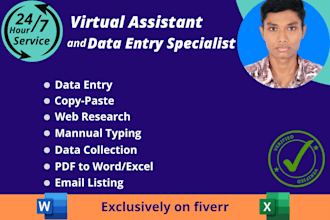 do data entry just in a day