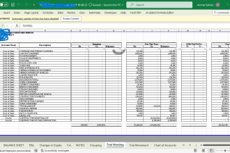 create excel graphs, report, google spreasheet, data analysis and visualisation