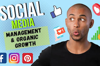grow your instagram organically