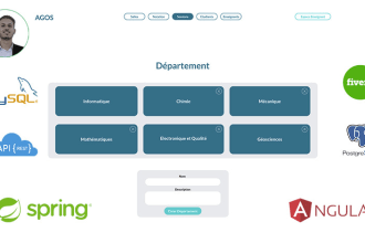 develop a professional angular and spring boot web application for you