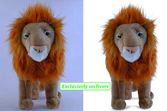 provide background removal services