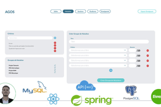 develop a professional react and spring boot web application for you
