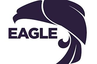 design birds and eagle logo