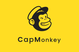 design or redesign perfect brand logo for your business in 12 hrs