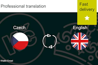 translate from czech to english and vice versa