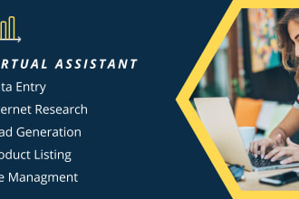 be your personal virtual assistant for data entry, wordpress
