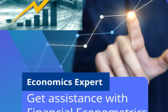 assist you with econometric, statistical analysis, economics tutoring