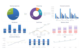 prepare investors financial plan, forecast and valuation