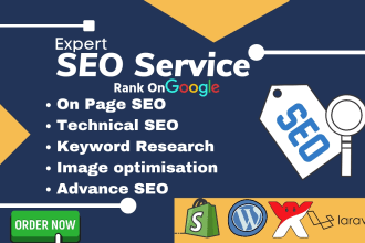 do on page and onpage technical SEO for wordpress shopify wix laravel website