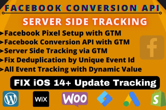 fix or setup facebook pixel conversion api with gtm, server side tracking