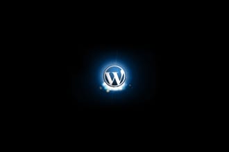 solve your  wordpress,css,html issues and do modifications