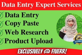 be virtual assistant for data entry, copy paste, web research and product upload