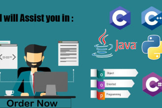 be your programmer in c,cpp,csharp,java and python