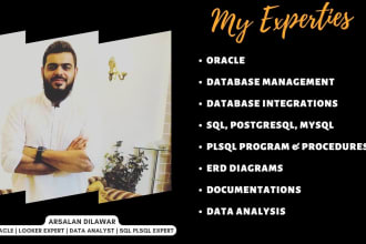design database, erds, write sql, postgresql, and oracle plsql