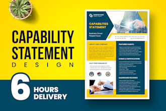 design government capability statement, one pager flyer