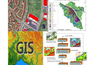 do gis mapping, digital image analys, web mapping and rs