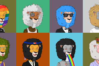create your nft collection