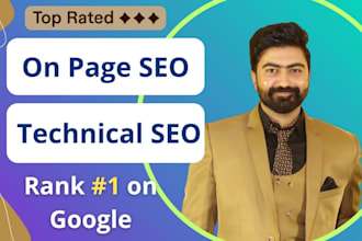do complete wordpress onpage SEO and technical optimization service of a website