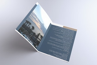 design a professional business brochure and flyer