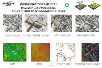 process uav images to generate dem,  orthomosaic, and point cloud to topo survey
