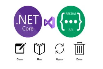 develop dotnet core professional web applications