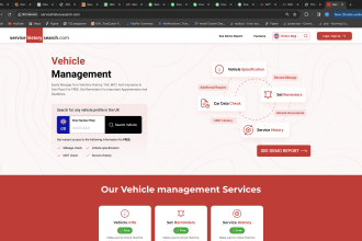 build a web application in vue js react angular with node js