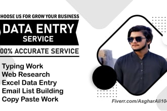 do internet research for targeted email list collection and data entry scraper