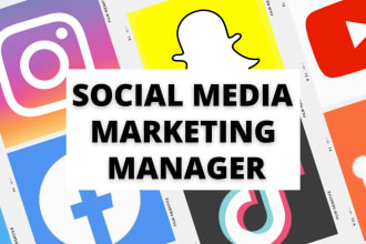 be your tiktok, instagram, facebook, youtube manager 2025 social media manager