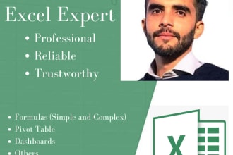 build a custom  spreadsheet, charts, pivot tables