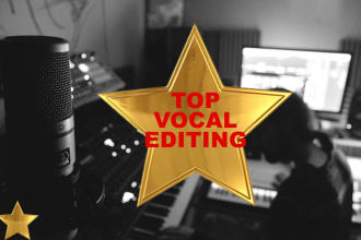 edit, tune and mix your vocals