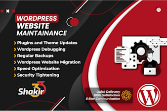 do monthly wordpress maintenance and support