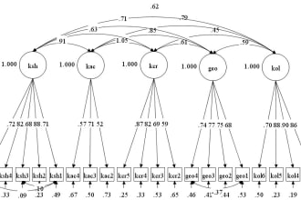 do cfa and hierarchical regression for your research