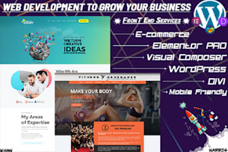 be your wordpress developer