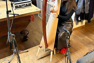 play the celtic harp for your project