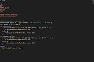 develop, debug, maintain go based applications