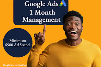 manage your google advertising campaign for conversions