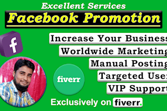 do organic facebook marketing for any business promotion