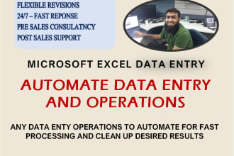 do excel data entry format, design, dashboard, template automation macros