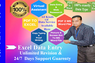 provide data typing  PDF jpeg to ms word and excel data