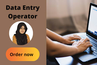 do data entry and copy paste job