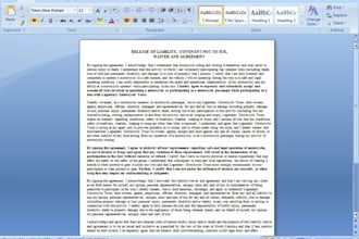 do professional fast typing job pro typist for you