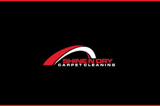 create gorgeous pressure washing cleaning and power washing logo