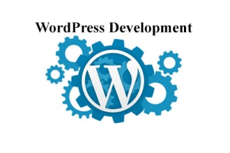 unlock your potential with tailormade wordpress development