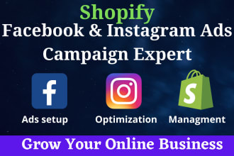 setup facebook and instagram ads campaign for you