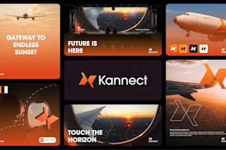 craft a professional brand identity and visual style guide